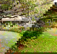 The Studio  The Barn