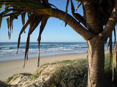 Horizons At Peregian - Perisher Accommodation 0