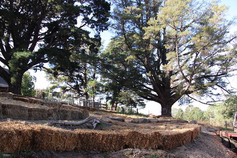 Longwood Retreat - Perisher Accommodation 0