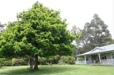 Wavestation - Perisher Accommodation 0