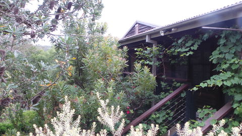 Rachels Retreat - Perisher Accommodation 0