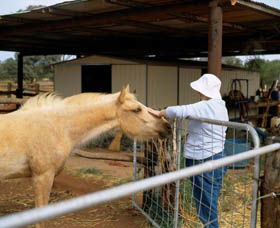 Cue WA Perisher Accommodation