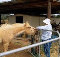 Nallan Station - Perisher Accommodation