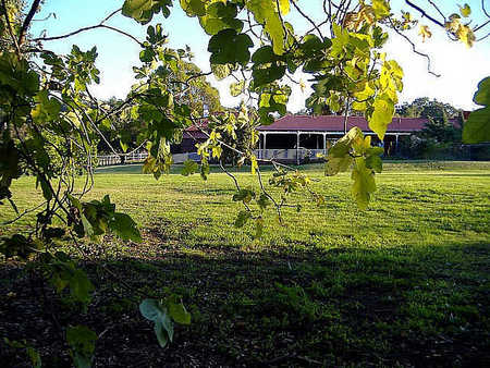 Poplar Cottage Bed And Breakfast - Perisher Accommodation 1