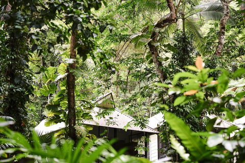 Daintree Ecolodge - Perisher Accommodation 0