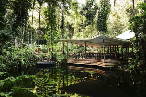 Daintree Ecolodge - Perisher Accommodation 1