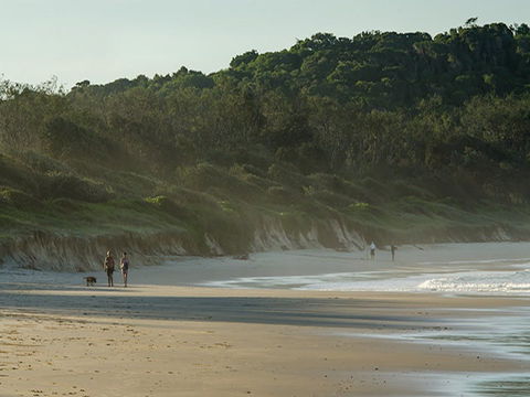 Delicate Campground - Perisher Accommodation 2