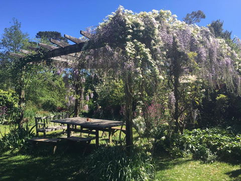 Hawthorne Cottage: Blackheath - Perisher Accommodation 2
