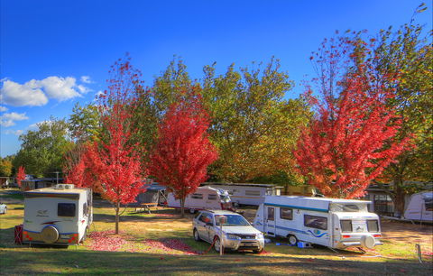Beechworth Lake Sambell Caravan Park - Perisher Accommodation 0