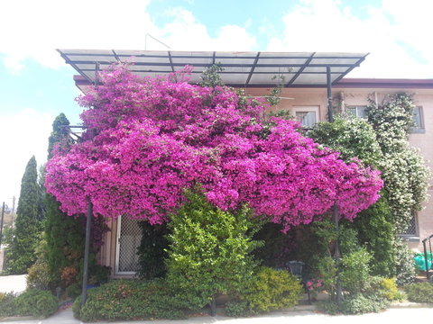 Crest Motor Inn - Perisher Accommodation 0