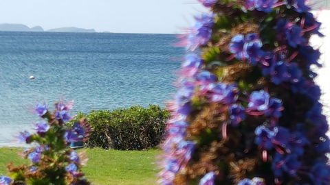 Rock Lobster - Perisher Accommodation 2