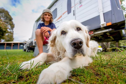 BIG4 St Helens Holiday Park - Perisher Accommodation 2