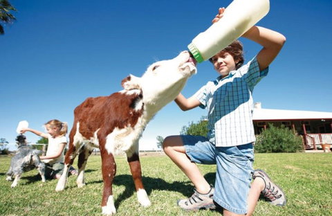 Charlotte Plains - Perisher Accommodation 1