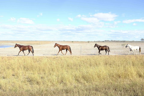 Charlotte Plains - Perisher Accommodation 2