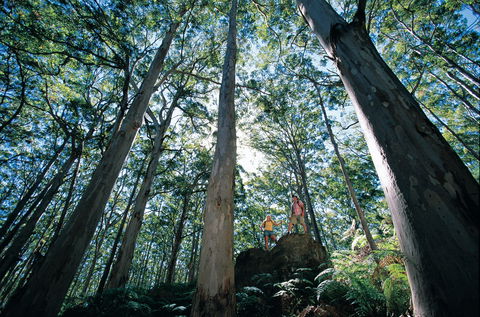 Conto Field Camp At Leeuwin-Naturaliste National Park - Perisher Accommodation 1