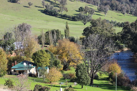 Elm Cottage Tumut - Perisher Accommodation 1