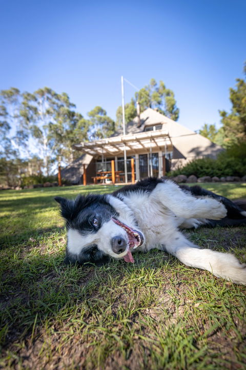 Grampians Getaway - Perisher Accommodation 0
