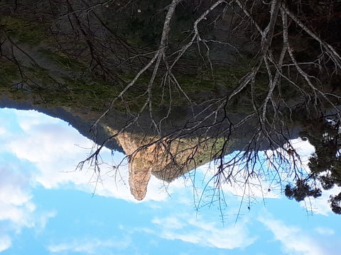 The Barn  House Farm Stay At Possum Manor - Perisher Accommodation 1