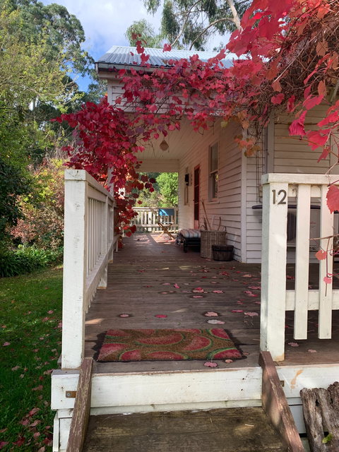 The Riders Palace Forrest - Perisher Accommodation 0