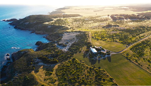 Yondah Beach House - Perisher Accommodation 1