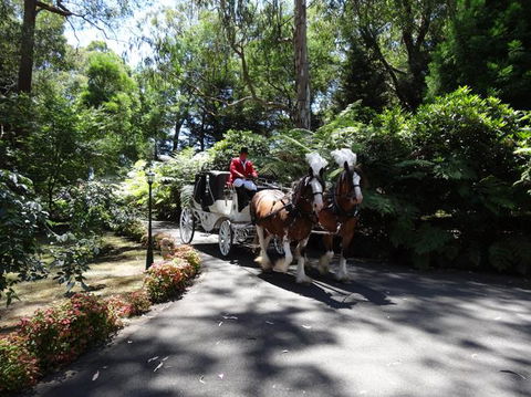 Whistle Stopover - Perisher Accommodation 8