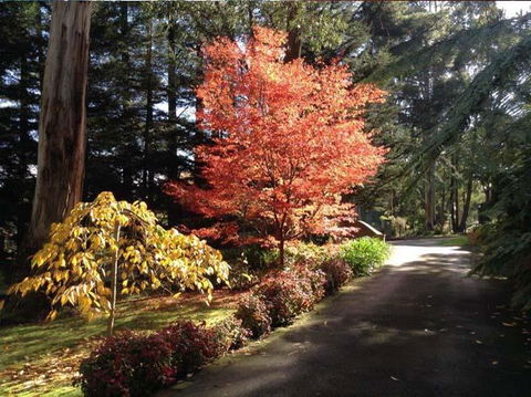Whistle Stopover - Perisher Accommodation 12