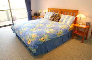 Amethyst Lodge - Perisher Accommodation 3