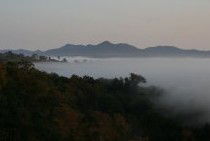 Bumblebrook Farm Motel - Perisher Accommodation 4