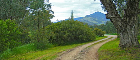 Baranduda Homestead - Perisher Accommodation 1