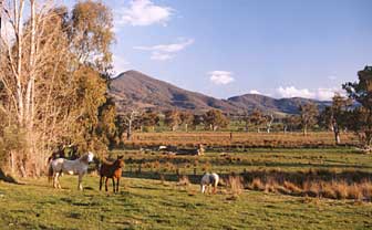 Baranduda Homestead - Perisher Accommodation 5