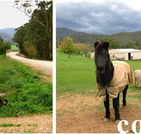 Emerald Park Holiday Farm - Perisher Accommodation