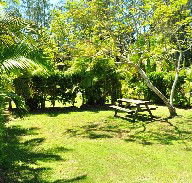 Wooli Caravan Park - Perisher Accommodation