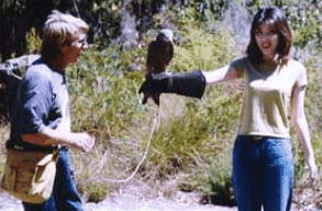 Eagles Heritage Raptor Wildlife Centre - Perisher Accommodation 2