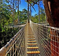 Thunderbird Park - Perisher Accommodation