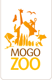 Mogo Zoo - Perisher Accommodation