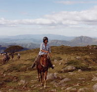 High Country Horses - Perisher Accommodation
