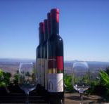 Mount Tamborine Winery  Homestead - Perisher Accommodation