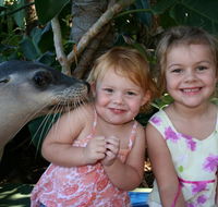Dolphin Marine Magic - Perisher Accommodation