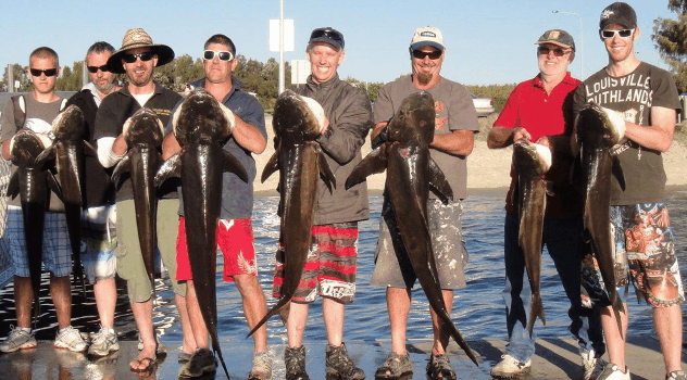 BKs Gold Coast Fishing Charters - Perisher Accommodation 1