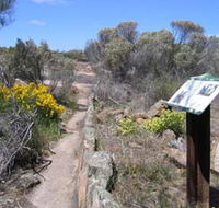Christmas Rock Walk - Perisher Accommodation