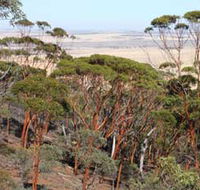 Mount Matilda Walk Trail Wongan Hills - Perisher Accommodation