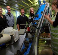 Eyre Peninsula's Seafood Trail - Perisher Accommodation