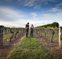 Coonawarra Wineries Walking Trail - Perisher Accommodation