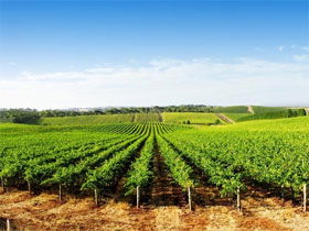  Perisher Accommodation