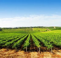 Aldinga Bay Winery - Perisher Accommodation