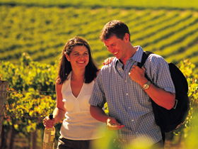 Lady Bay Vineyard - Perisher Accommodation 0