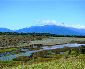 Eubenangee Swamp National Park - Perisher Accommodation 0