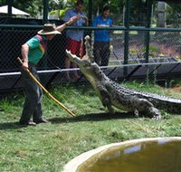 Snakes Downunder Reptile Park and Zoo - Perisher Accommodation