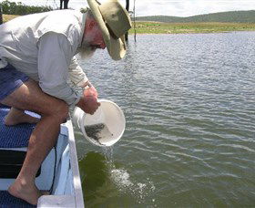 Perisher Accommodation