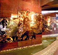 Riversleigh Fossil Centre - Perisher Accommodation